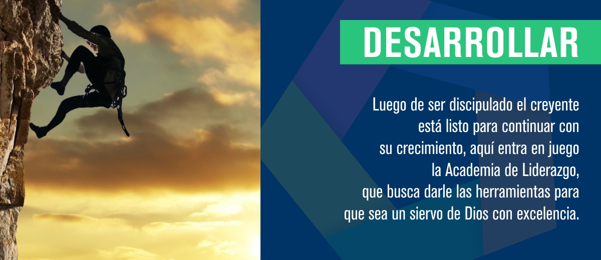 Desarrollar