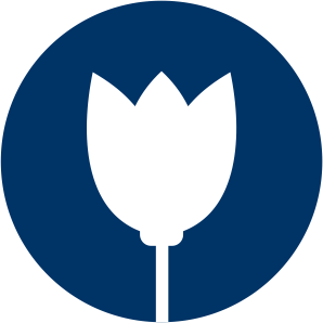 concilio misionero femenil