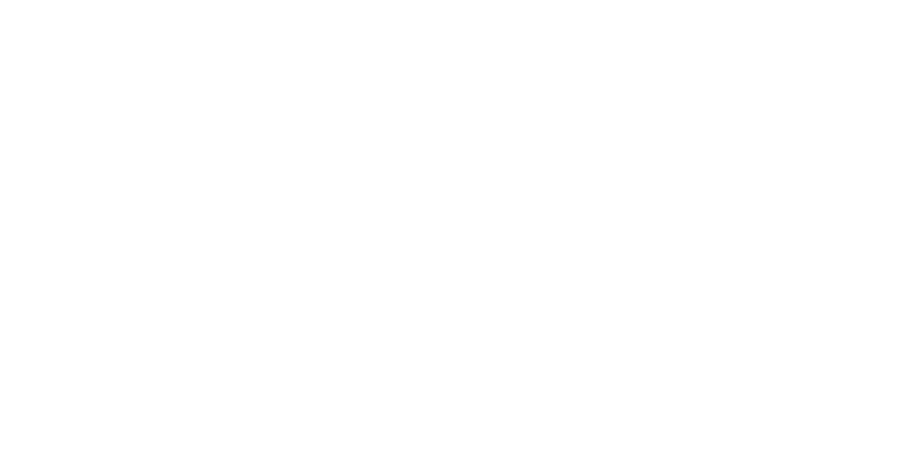 logo-smirna